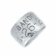 Picture of Silver 14mm Band Ring