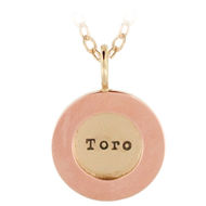 Picture of 14K Gold Charm with 14K Wide Rim 